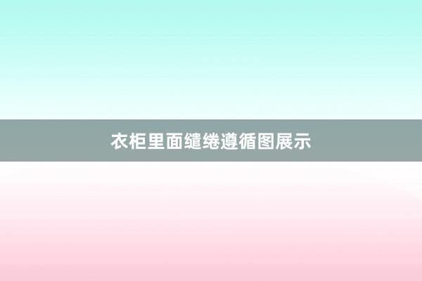 衣柜里面缱绻遵循图展示
