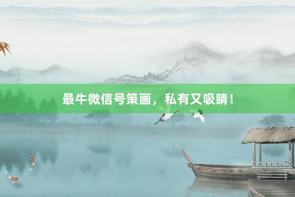 最牛微信号策画，私有又吸睛！